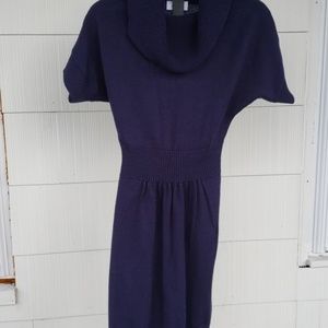 Ann Taylor Sweater Dress